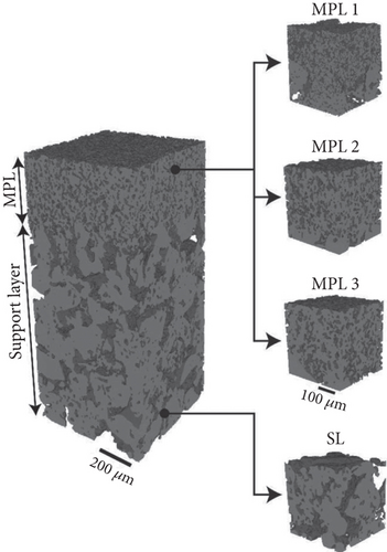 Details are in the caption following the image