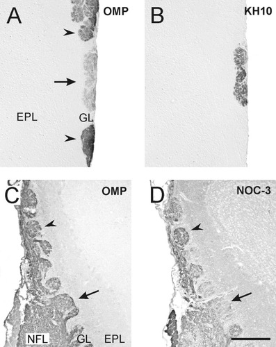 Details are in the caption following the image Details are in the caption following the image