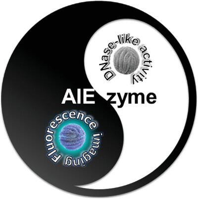 Aggregation-induced emission artificial enzyme (AIEzyme) with DNase-like activity: Imaging and matrix cleavage for combating bacterial biofilm Issue 5, 2023