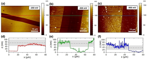 Details are in the caption following the image Details are in the caption following the image