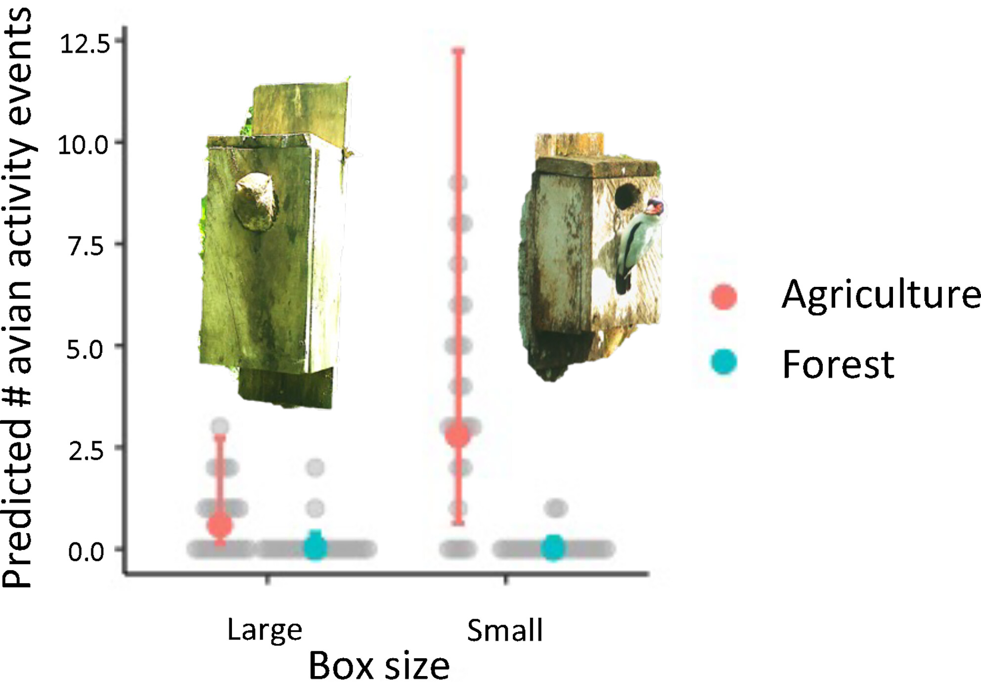 Cavity-nesting birds are limited by nesting habitat in Neotropical agricultural landscapes