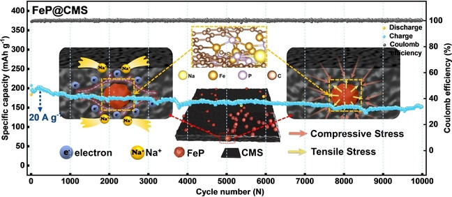 A Stress Self-Adaptive Structure to Suppress the Chemo-mechanical Degradation for High Rate and Ultralong Cycle Life Sodium Ion Batteries