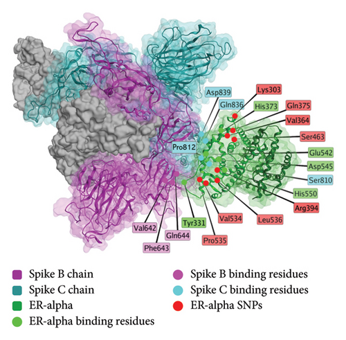 Details are in the caption following the image
