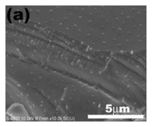 Details are in the caption following the image