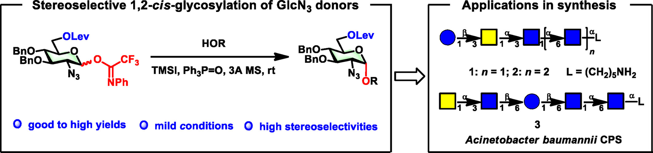 Stereoselective α-Glycosylation with GlcN3 Donors Enabled Collective Syntheses of Acinetobacter baumannii Capsular Polysaccharides K43, K47 and K88 Repeating Units†