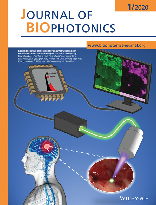 Inside Front Cover: Fast and sensitive delineation of brain tumor with clinically compatible moxifloxacin labeling and confocal microscopy (J. Biophotonics 1/2020)