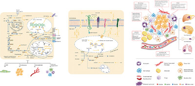 The critical function of metabolic reprogramming in cancer metastasis