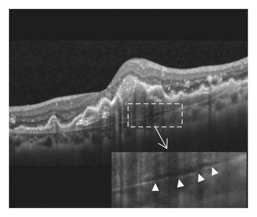 Details are in the caption following the image Details are in the caption following the image