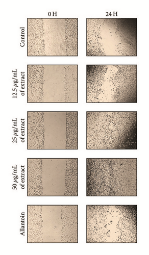Details are in the caption following the image