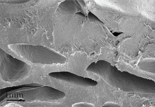 Details are in the caption following the image