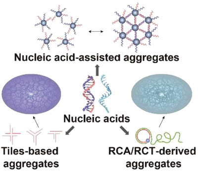Nucleic acid–based aggregates and their biomedical applications Issue 1, 2021