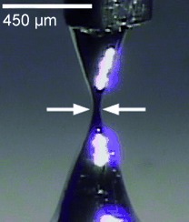 Eutectic Gallium–Indium (EGaIn): A Moldable Liquid Metal for Electrical Characterization of Self-Assembled Monolayers