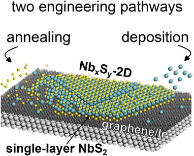 Engineering 2D Materials from Single-Layer NbS2