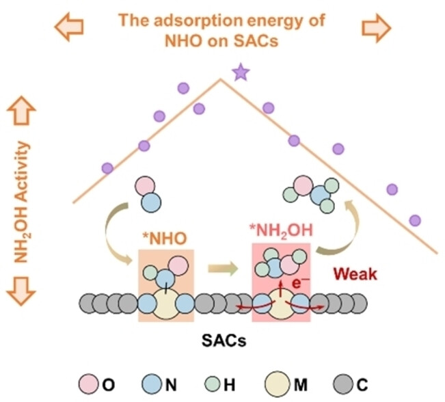 Descriptor-Based Volcano Relations Predict Single Atoms for Hydroxylamine Electrosynthesis