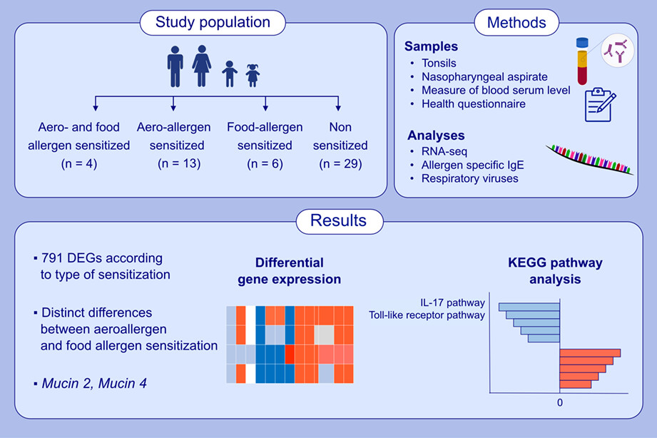 Tonsillar transcriptional profiles in atopic and non-atopic subjects