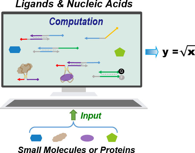 Programming Non-Nucleic Acid Molecules into Computational Nucleic Acid Systems