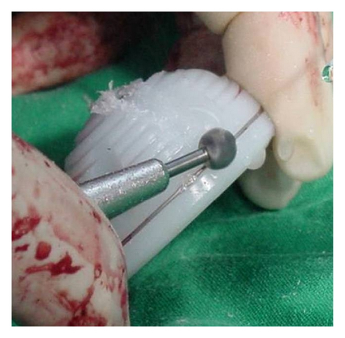 Details are in the caption following the image Details are in the caption following the image