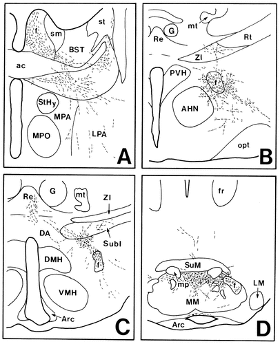 Details are in the caption following the image