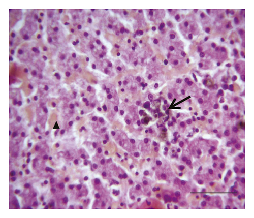 Details are in the caption following the image
