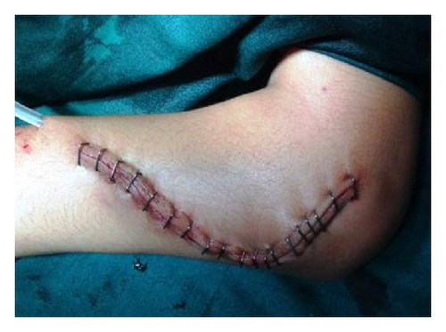Details are in the caption following the image Details are in the caption following the image