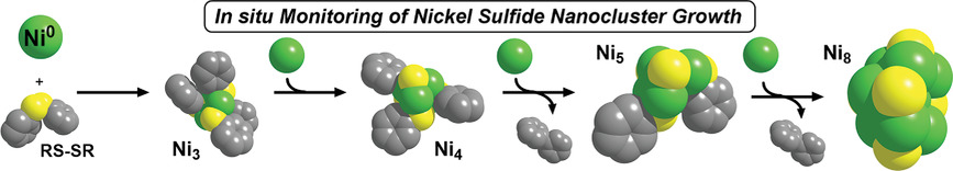 Understanding the Early Stages of Nickel Sulfide Nanocluster Growth: Isolation of Ni3, Ni4, Ni5, and Ni8 Intermediates