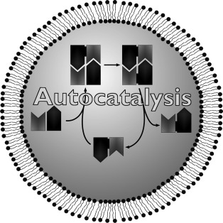 Mechanisms of Autocatalysis