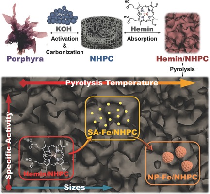 Biomass Derived N-Doped Porous Carbon Supported Single Fe Atoms as Superior Electrocatalysts for Oxygen Reduction