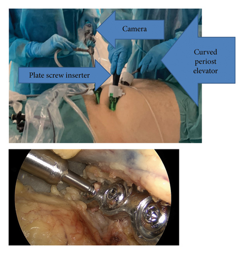 Details are in the caption following the image Details are in the caption following the image