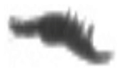 Details are in the caption following the image