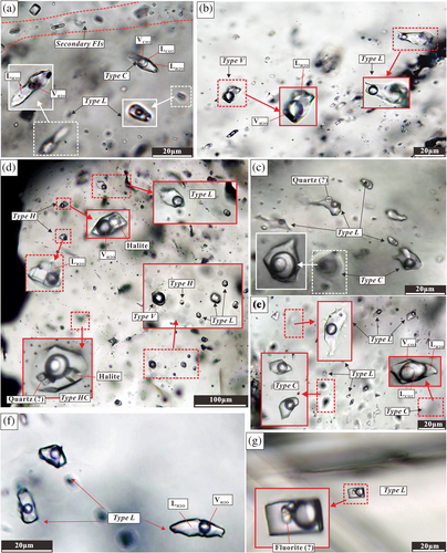 Details are in the caption following the image Details are in the caption following the image