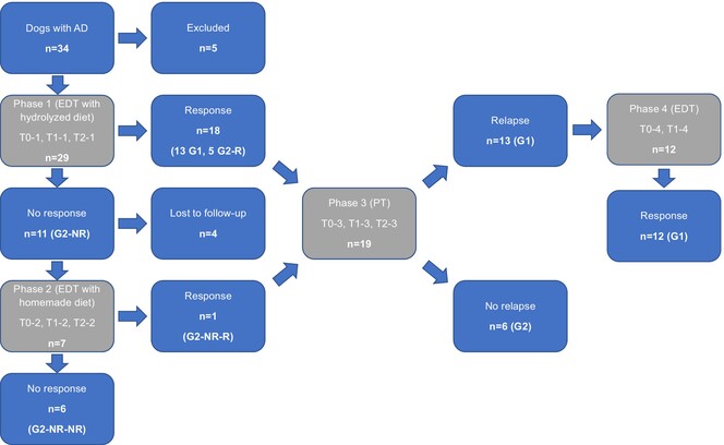 Establishment of clinical criteria for the diagnosis of adverse food reactions in dogs with atopic dermatitis