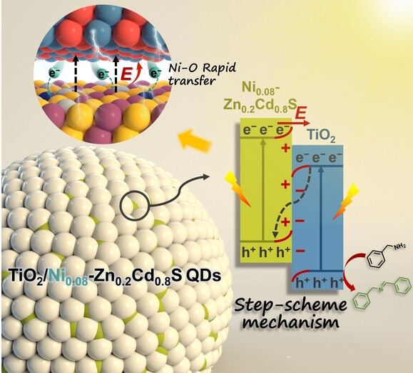 Rapid Charge Transfer Endowed by Interfacial Ni-O Bonding in S-scheme Heterojunction for Efficient Photocatalytic H2 and Imine Production