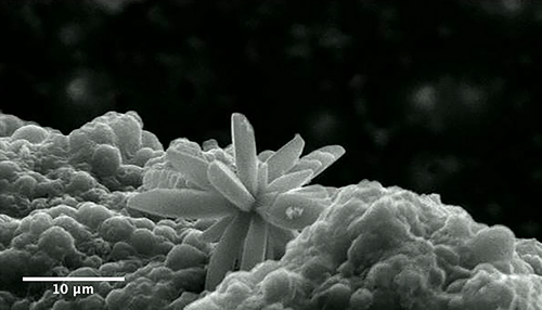 Details are in the caption following the image