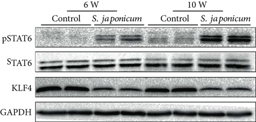 Details are in the caption following the image