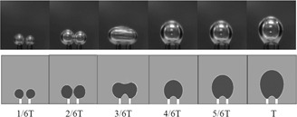 Coalescence Deformation of Bubble Pairs Generated from Twin Nozzles in CMC Solutions