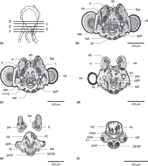 Details are in the caption following the image Details are in the caption following the image