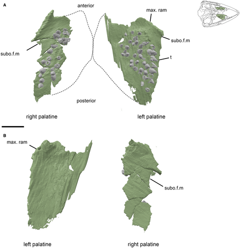 Details are in the caption following the image