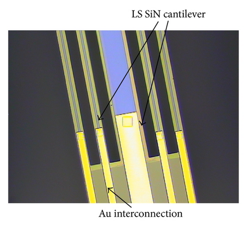 Details are in the caption following the image