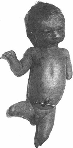 Details are in the caption following the image