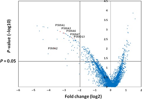 Identification of proteasomal catalytic subunit PSMA6 as a therapeutic target for lung cancer