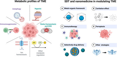 Breaking Barriers in Oncology: Harnessing Sonodynamic Therapy for Enhanced Tumor Metabolism Regulation