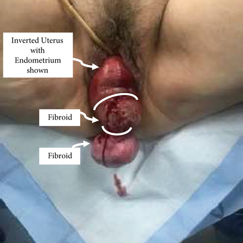 Details are in the caption following the image Details are in the caption following the image