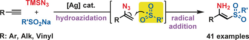 Silver-Catalyzed Stereoselective Aminosulfonylation of Alkynes