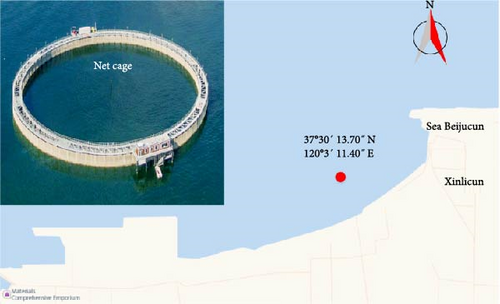 Details are in the caption following the image Details are in the caption following the image