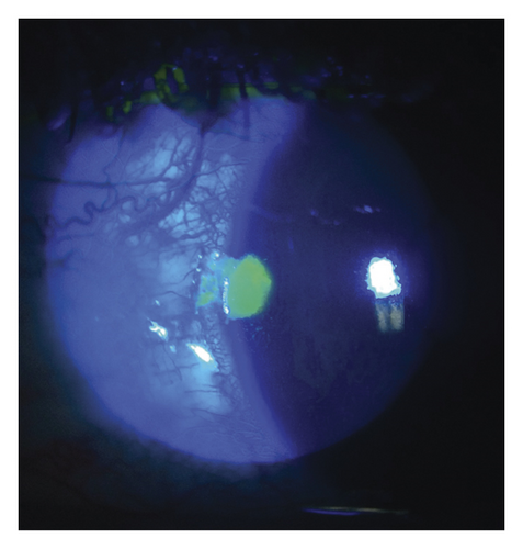 Details are in the caption following the image Details are in the caption following the image