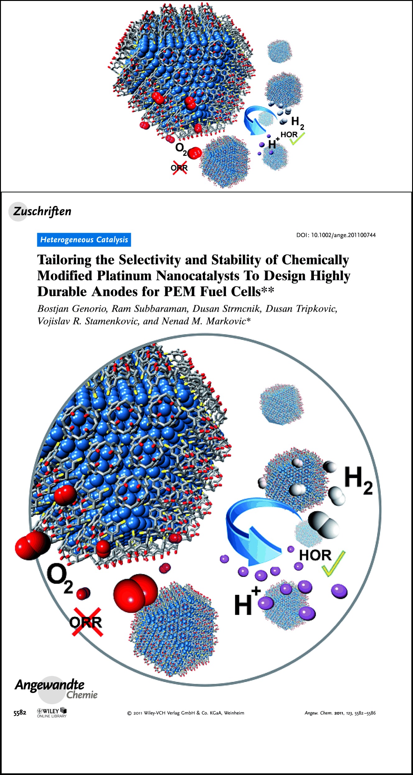 Tailoring the Selectivity and Stability of Chemically Modified Platinum Nanocatalysts To Design Highly Durable Anodes for PEM Fuel Cells