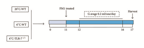 Details are in the caption following the image Details are in the caption following the image
