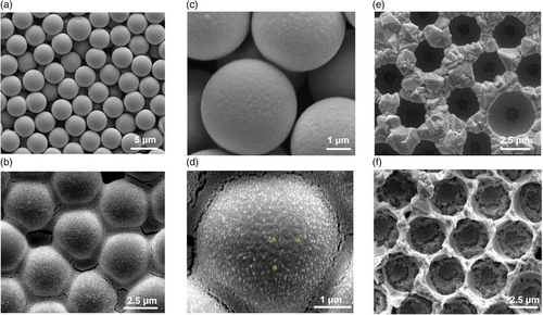 Details are in the caption following the image Details are in the caption following the image