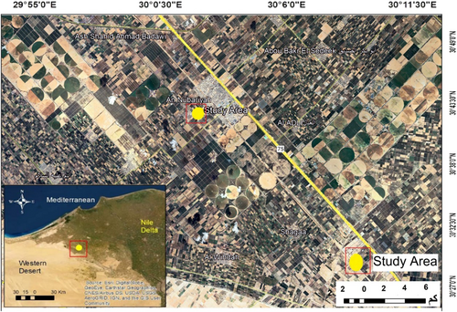 Details are in the caption following the image Details are in the caption following the image