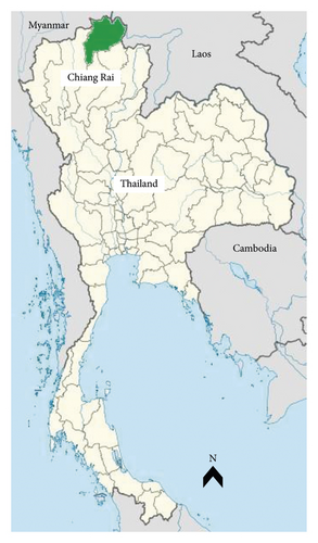 Details are in the caption following the image Details are in the caption following the image